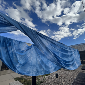 Indigo dyed fabricx hangs from a drying line.