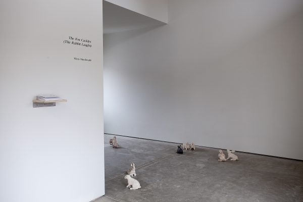 The Fox Cackles, The Rabbit Laughs Installation by Wren Macdonald, 2021