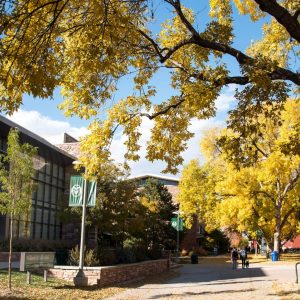 Picture of the walkway between Eddy Hall and Clark Building during the fall with yellow leaves on the trees overhanging