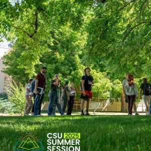 CSU summer session students looking into leafy trees while recording observations for a team research project.