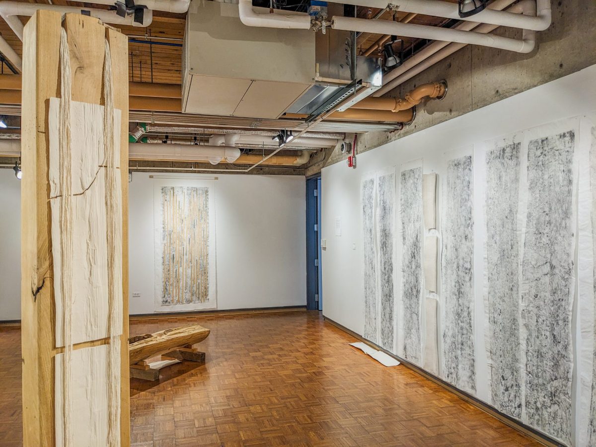 Gallery space with large wood sculptures and textured paper artworks on the walls, featuring natural patterns and organic forms.
