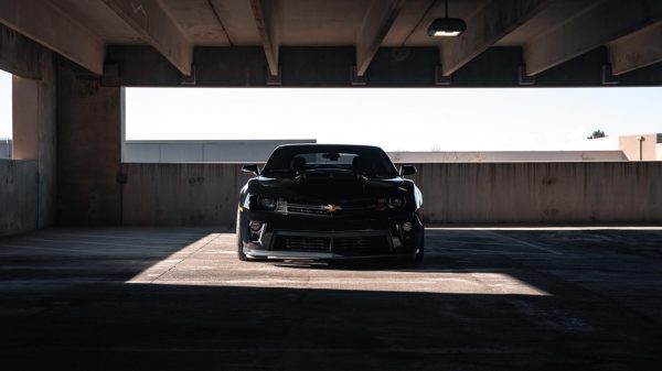 Camero by Mario DiMatteo, 2025